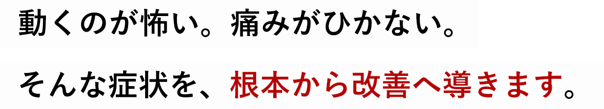 動くのが怖い。痛みがひかない。そんな症状を、根本から改善へ導きます。